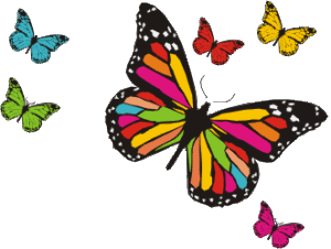 borboletas coloridas 1