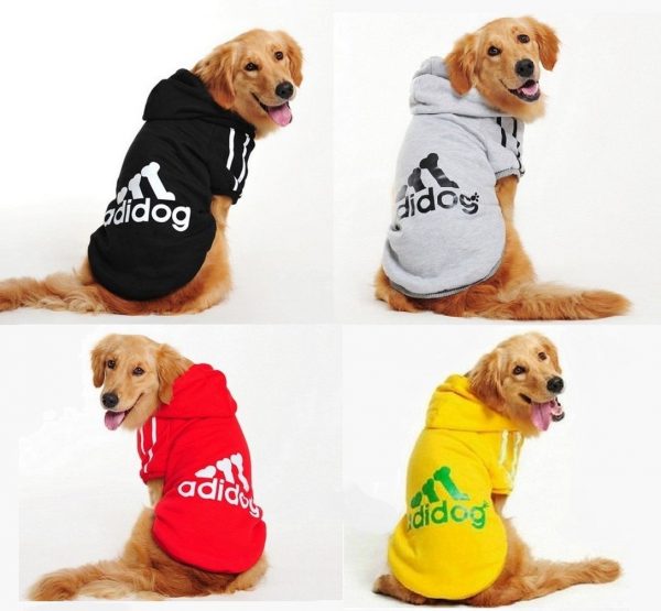 roupas personalizadas para cachorros