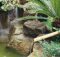 cascata rustica de jardim decorada